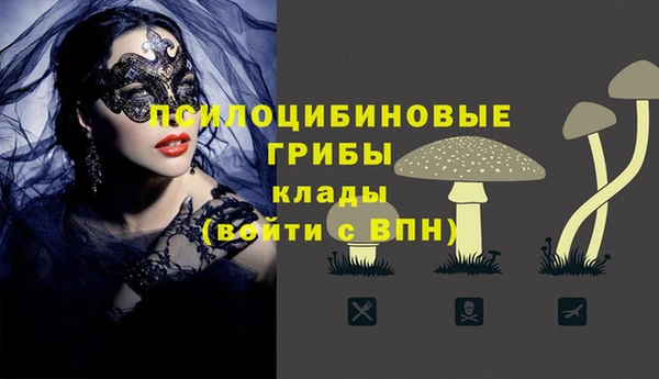 прущие крисы Белоозёрский
