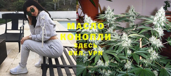 СК Снежногорск