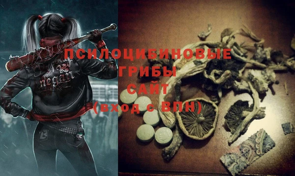 MDMA Беломорск