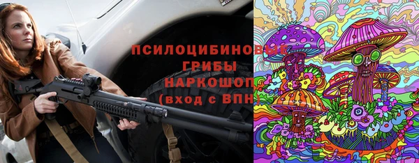 ешки Белокуриха