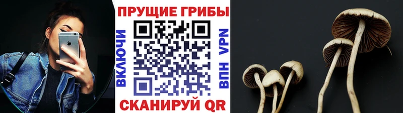 блэк спрут ссылка  Верхотурье  Псилоцибиновые грибы ЛСД 
